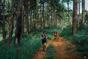 BIB: 
                            <button type="button" onclick="openModal(25744435)" class="btn btn-primary btn-sm float-right btn-popup" data-toggle="modal" data-target=".modal-high-quality">
                        <i class="fas fa-shopping-cart"></i> Add to Cart
                    </button>
                                            <button type="button" onclick="isThisMe(25744435, true)" class="btn btn-success btn-sm float-right btn-popup btn-isme hidden" data-toggle="tooltip" data-placement="bottom" title="นี่คือรูปของคุณใช่ไหม คลิกที่นี่เพื่อเอาเข้าอัลบั้ม">
                        <i class="fas fa-plus"></i> Add to album
                    </button>
                    <button type="button" onclick="isThisMe(25744435, false)" class="btn btn-warning btn-sm float-right btn-popup btn-isnotme hidden">
                        <i class="fas fa-ban"></i> Remove from album
                    </button>